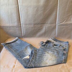 American Eagle Outfitters Distressed Light Blue Jeans